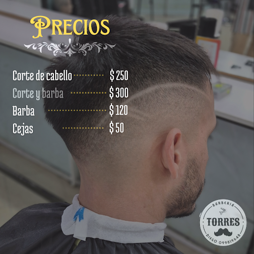 Torres barberia