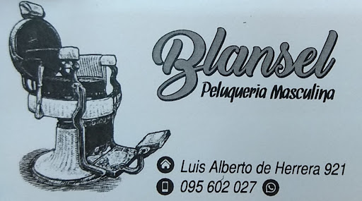 Peluqueria Blansel
