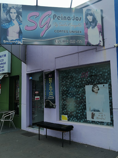SG Peinados