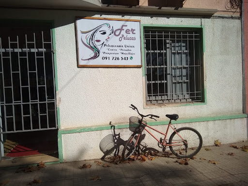 Fer Pelucas