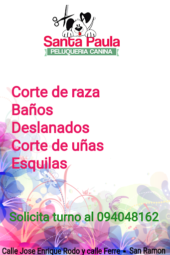 Peluqueria Canina SANTA PAULA
