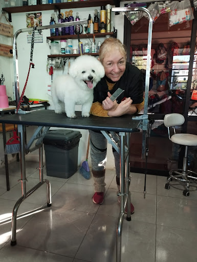 Esteti cani, peluquería y estética canina