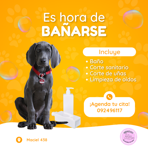 Peluquería y estética canina AKIRA & CUQUI