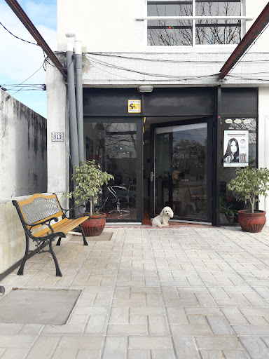 Belizima Peluqueria Unisex