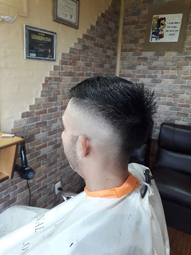 Peluqueria Masculina PELLICE