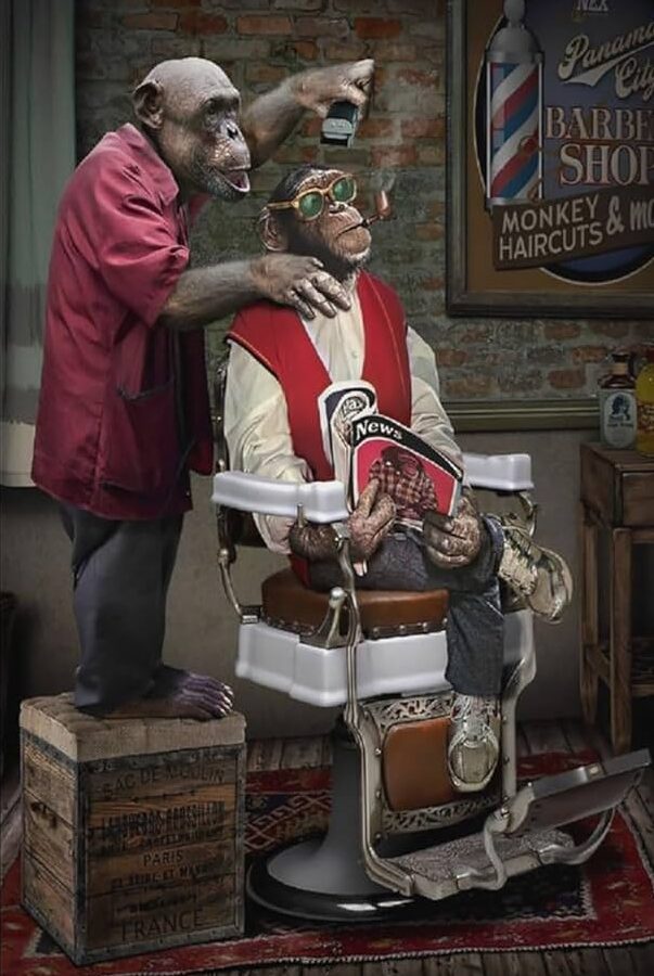 Barberia El Moni 1 barberia el moni