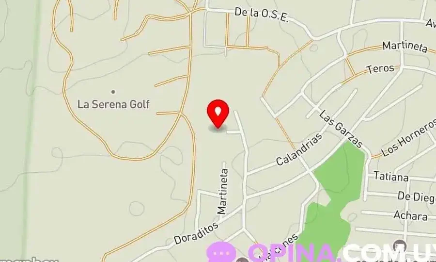 Barbería Spec. Vermis 1 barberia spec vermis