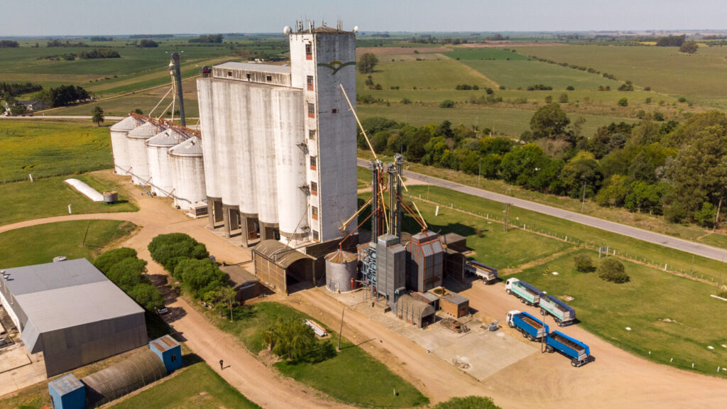 COPAGRAN OMBUES, PLANTA DE SILOS 1 copagran ombues planta de silos 1